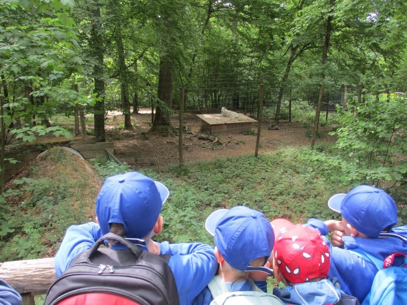 Ernstbrunn 3